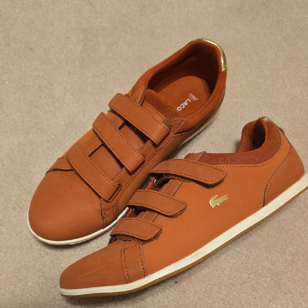 Lacoste  Sneakers